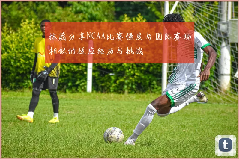 林葳分享NCAA比赛强度与国际赛场相似的适应经历与挑战